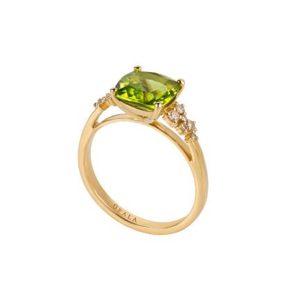 Anel Ouro Amarelo 19K